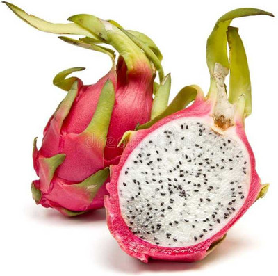 Oliver dragon fruit seeds Seed(120 per packet)