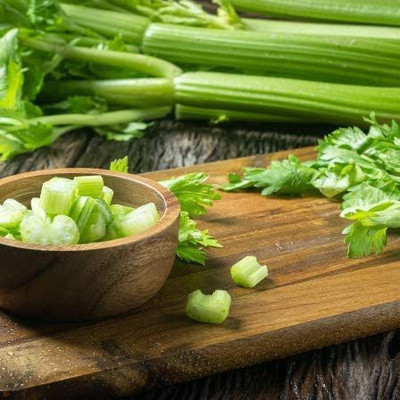 CYBEXIS PUAS-9 - Celery Tango - (2250 Seeds) Seed(2250 per packet)