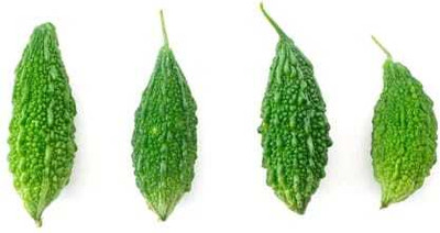 Paudhaa F1 BEST QUALITY BITTER GOURD SEEDS Seed(28 per packet)