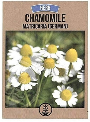 KNESSiN Chamomile Seed(1250 per packet)