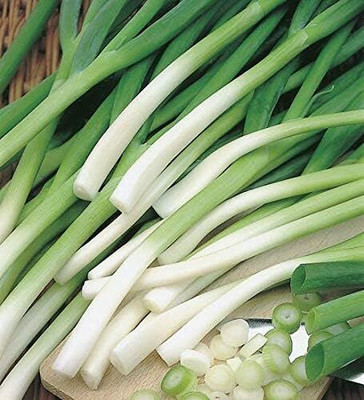 Biosnyg Fast Growing Ishikura Spring Onion Vegetable Seeds For Gardening-(3000 Seeds) Seed(3000 per packet)
