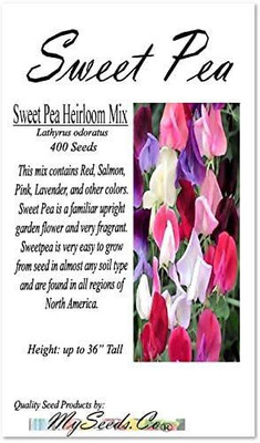 CYBEXIS ATS-33 - Sweet Pea Flower - (300 Seeds) Seed(300 per packet)
