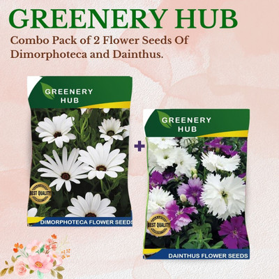 Greenery Hub Colorful Flower Seed Combo for Your Garden Seed(50 per packet)