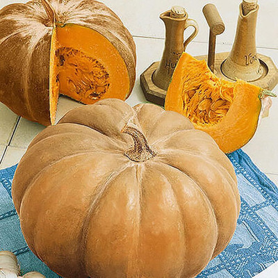 KNESSiN Abundant Yield Autumn Buckskin Pumpkin Vegetable Seeds (60 Seeds) Seed(60 per packet)