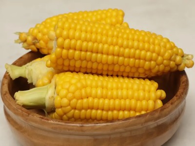 CEZIUS Indian Sweet Corn (Makka) (मक्का के बीज) Seed(100 per packet)