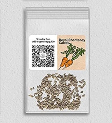 Biosnyg GUA-36 Royal Chantenay Carrot-[800 Seeds] Seed(800 per packet)