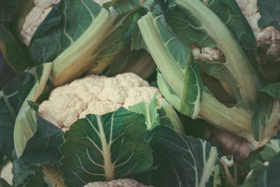 Sandhya Darshan white cauliflower,gobhee seeds Seed(13 per packet)