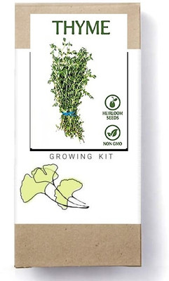 Biosnyg Thyme-[1000 Seeds] Seed(1000 per packet)