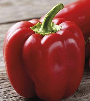 CYBEXIS Fast Germination Seeds of Organic Sweet Pepper Asti Red Capsicum600 Seeds Seed(600 per packet)