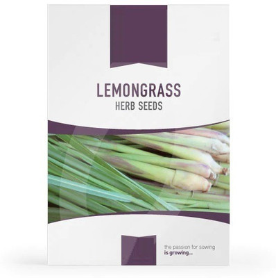 VibeX ® RXI-182 LEMONGRASS SEEDS/Cochin Grass Seed(500 per packet)