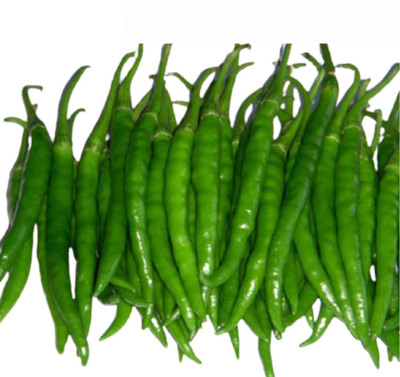 granthi Green Chilli Indian हरी मिर्च Seed(2500 per packet)