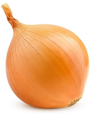 Qualtivate PUA-1A Golden Onion Seeds Seed(500 per packet)