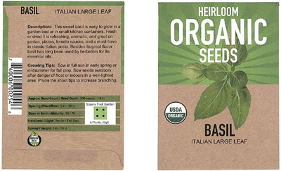 KNESSiN Basil Seed(1250 per packet)