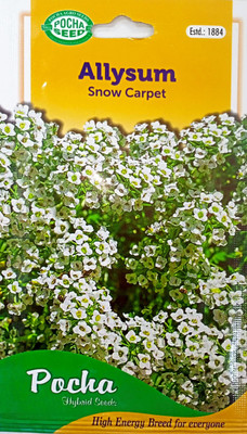 KRASHAK Allysum Snow Carpet Seed Seed(2 per packet)