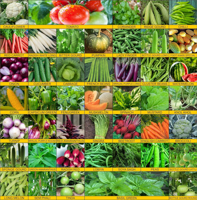 CRGO VEGETABLE COMBO Seed(3200 per packet)