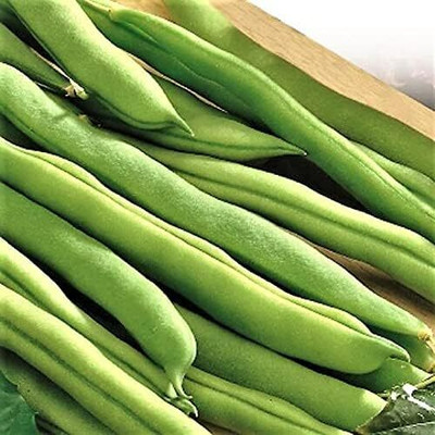 DIVINE BEANS Seed(70 per packet)