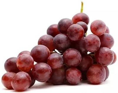 Quentova Red Globe, Flame Grapes-HQ-4I Seed(100 per packet)