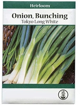 CYBEXIS Asian Herb Garden Seed Collection:Tokyo Long White Bunching Onion1000 Seeds Seed(1000 per packet)