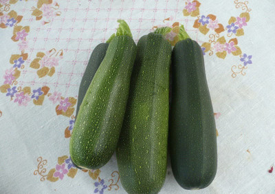 WILLVINE NBIR-299 Light Green Zucchini Courgette Squash Seed(100 per packet)