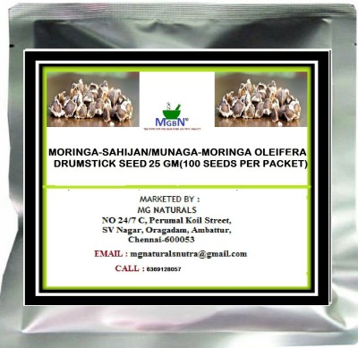 MGBN MORINGA-SAHIJAN/MUNAGA-MORINGA OLEIFERA-DRUMSTICK SEED-25 GM Seed(100 per packet)