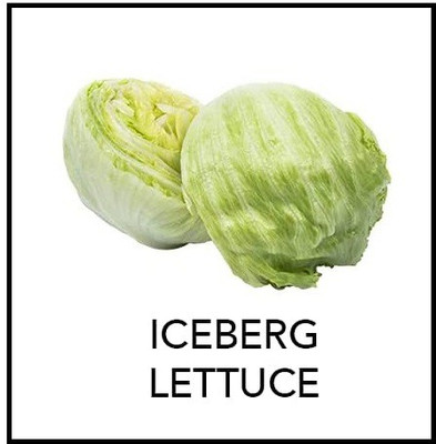 CYBEXIS XL-12 - Iceberg Lettuce - (150 Seeds) Seed(150 per packet)