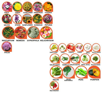 Hothanger Organic & Hybrid Vegetable + Flower Seeds | Home Gardening Kit for Pots, Terrace Seed(100 per packet)