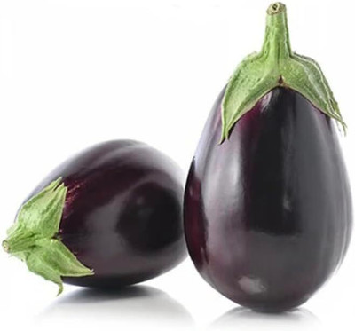 Biosnyg Organic Eggplant Black Beauty Brinjal ( Seeds) Seed(1000 per packet)