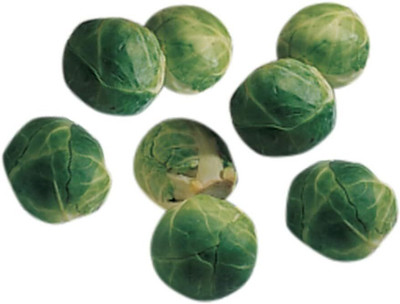 WILLVINE MEH -XIII Catskill (Heirloom) Brussels Sprouts [1g] Seed(300 per packet)