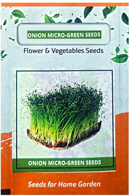 WILLVINE SYN -IV Onion Micro Greens Seeds [2.5g] Seed(1500 per packet)