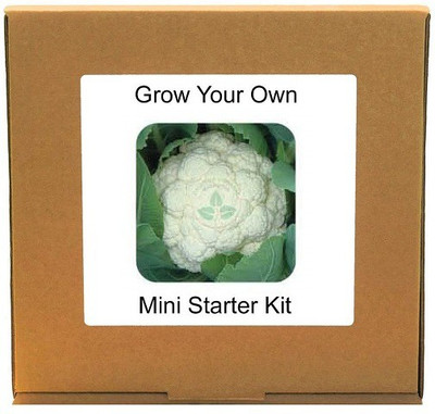 CYBEXIS Cauliflower1000 Seeds Seed(1000 per packet)