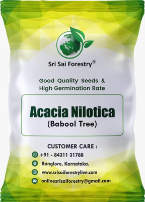 SRI SAI FORESTRY Acacia Nilotic (Babul, Babool ) Live Fencing Tree Seed(200 per packet)