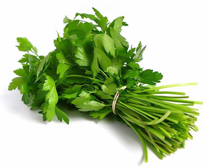 Aywal Coriander Green Leaves F1 Hybrid Seed(600 per packet)