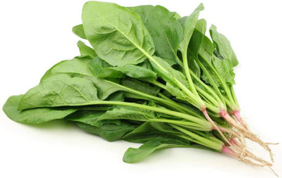 CYBEXIS F1 Hybrid Spinach Seeds1000 Seeds Seed(1000 per packet)