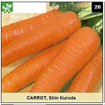 CYBEXIS SHIN KURODA CARROT2000 Seeds Seed(2000 per packet)
