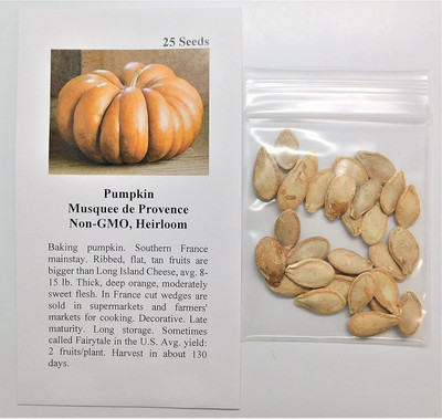VibeX ® RXI-413 Pumpkin Musquee de Provence (Orange) Seed(50 per packet)