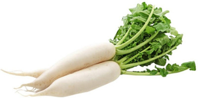 SeedHaven Fresh VNR Radish Vegetable Quality Seeds Seed(65 per packet)