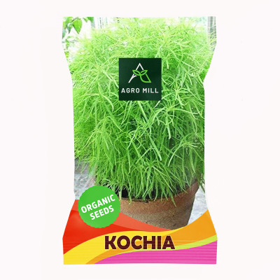 AGRO MILL KOCHIA/BURNING BUSH/SUMMER CYPRESS PREMIUM QUALITY Seed(50 per packet)