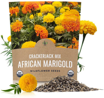 Qualtivate LX-583 Crackerjack Marigold Seeds Seed(500 per packet)