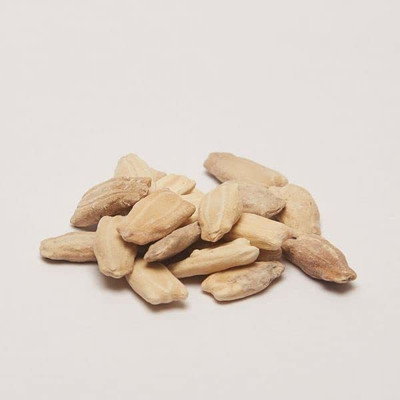 WILLVINE BottleGourd Seed(50 per packet)