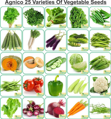 Agnico Agnico 25 Varieties of Vegetable Seeds Seed(1 per packet)