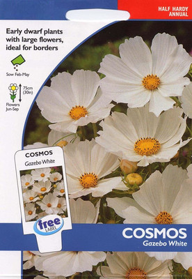 CYBEXIS Cosmos Snow Puff Seeds. Snow Puff Cosmos Seed(1 g)
