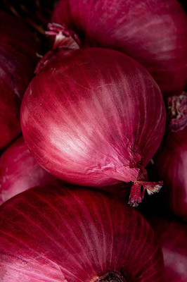 CYBEXIS LXI-56 - Burgundy Onion - (4500 Seeds) Seed(4500 per packet)