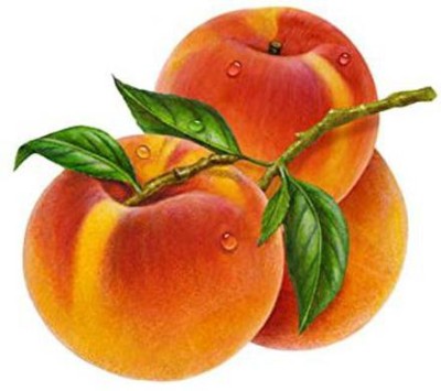 Lorvox Peach Dry Fruit Tree Seed(4 per packet)