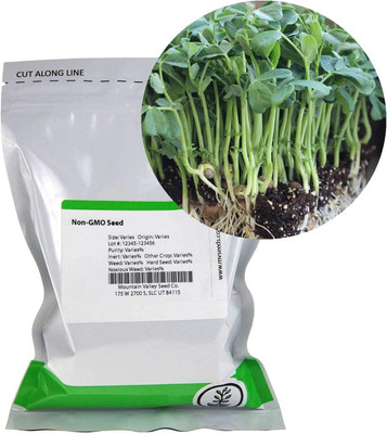 VibeX PAU-62 - Speckled Pea Sprouting - (300 Seeds) Seed(300 per packet)