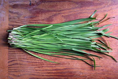 CYBEXIS NBIR-42 - Garlic Chives for Planting - (250 Seeds) Seed(250 per packet)