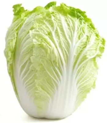 MAA Chinese Cabbage, Napa Seed(76 per packet)