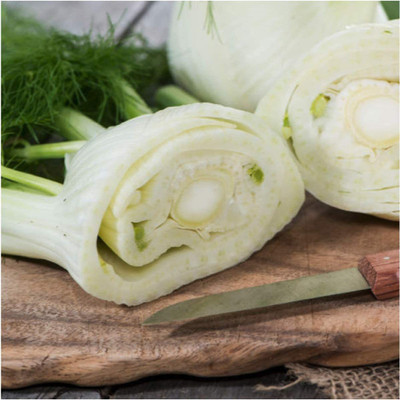 CYBEXIS LX-30 - Sweet Florence Fennel - (2250 Seeds) Seed(2250 per packet)
