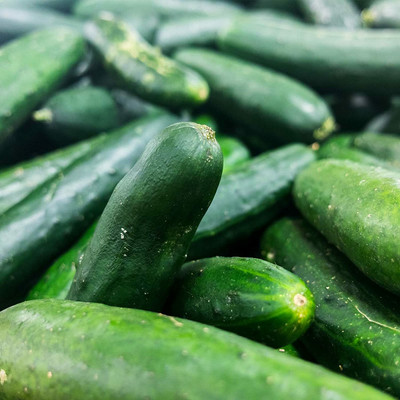 WHYGI Crop Cucumber Garden Seeds-CuC_1012 Seed(200 per packet)