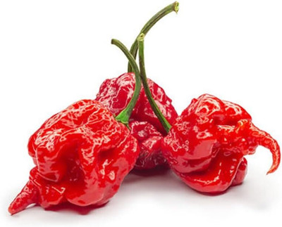 Biosnyg Heirloom Carolina Reaper Red Chilli Seeds For Kitchen Gardening-(1000 Seeds) Seed(1000 per packet)