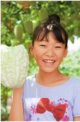 Qualtivate GBPT-2A Bitter gourd white chinese F1 variety Seed(50 per packet)